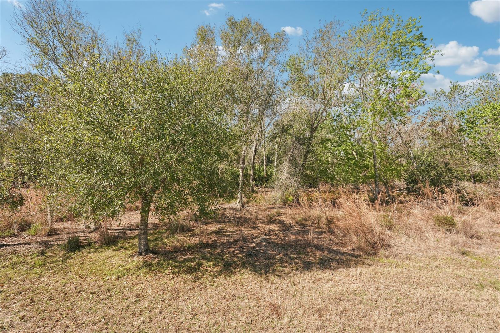 DEL WEBB PH II SUBPHASES 2A, 2B & 2C - Residential