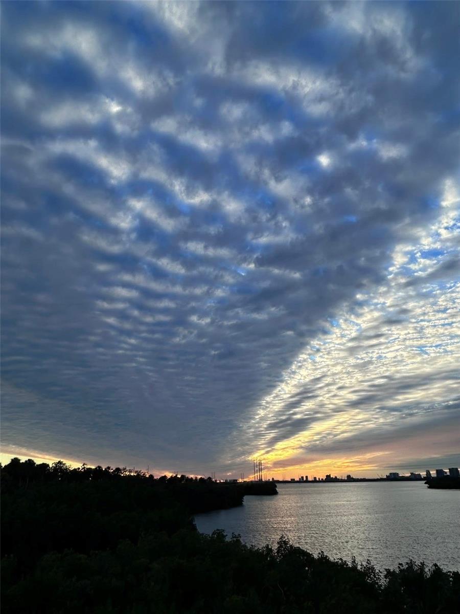 PALM RIVER TWNHMS PH 2 - Residential