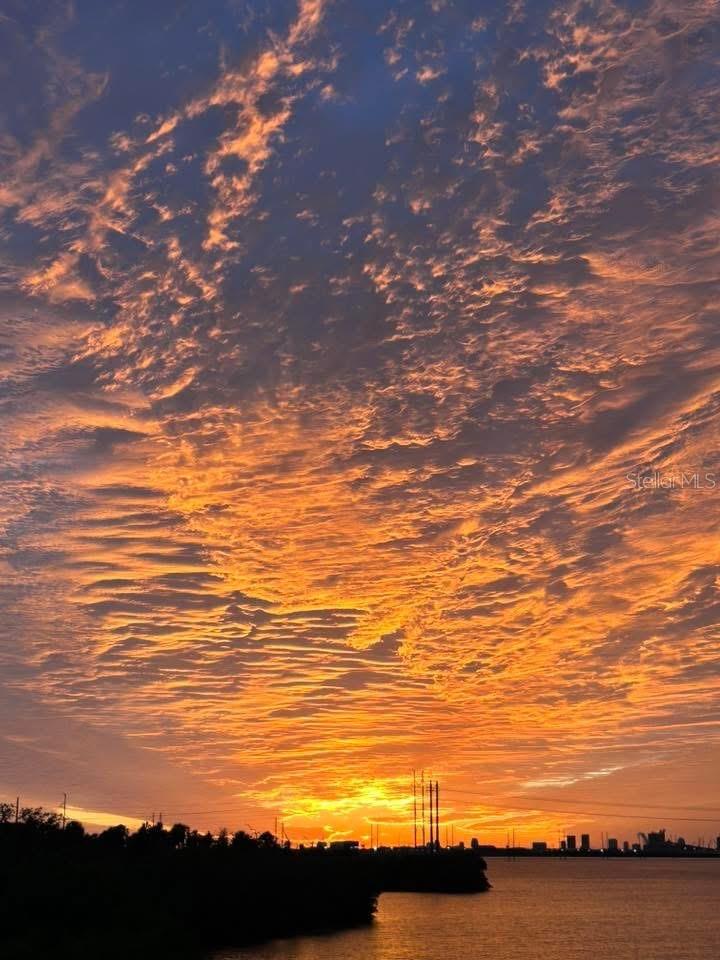 PALM RIVER TWNHMS PH 2 - Residential