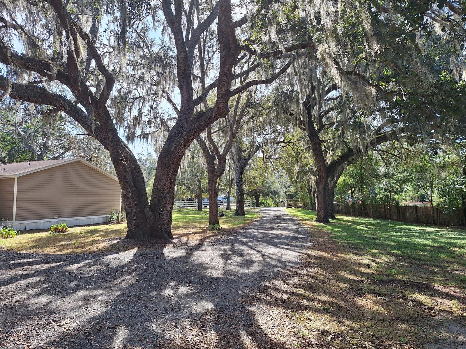 HUDSON GROVE ESTATES - Residential