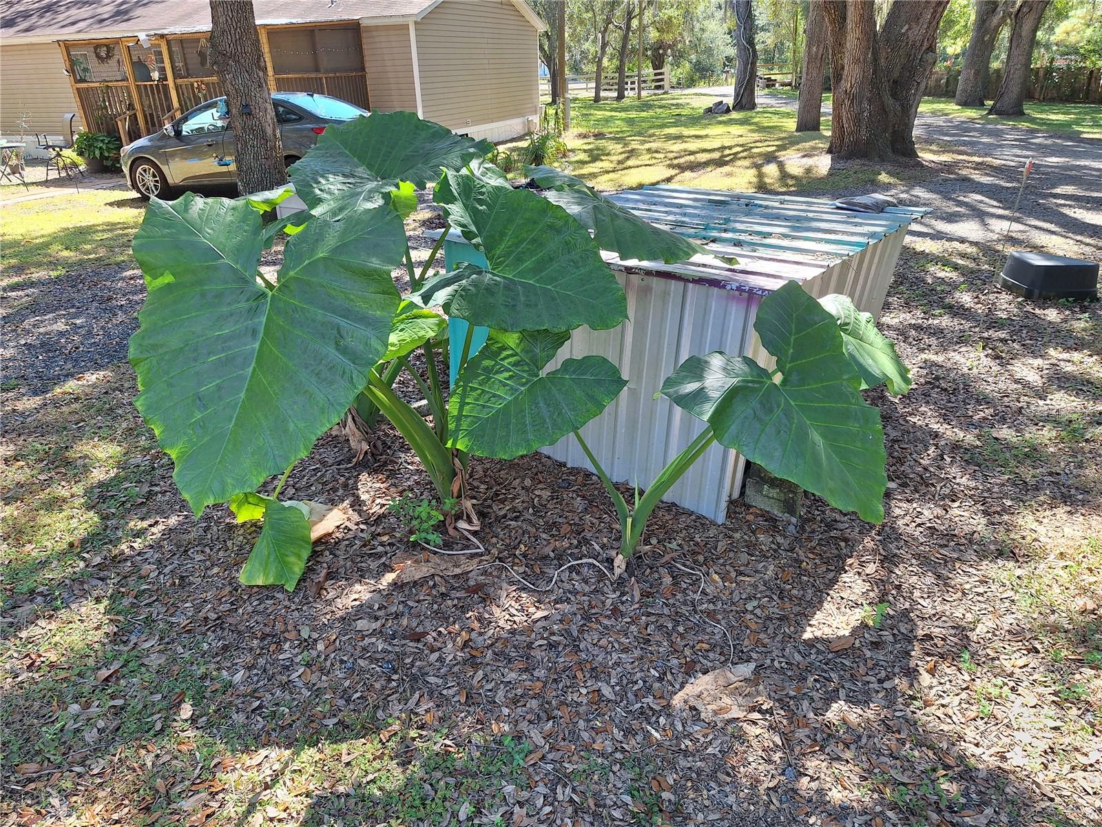 HUDSON GROVE ESTATES - Residential