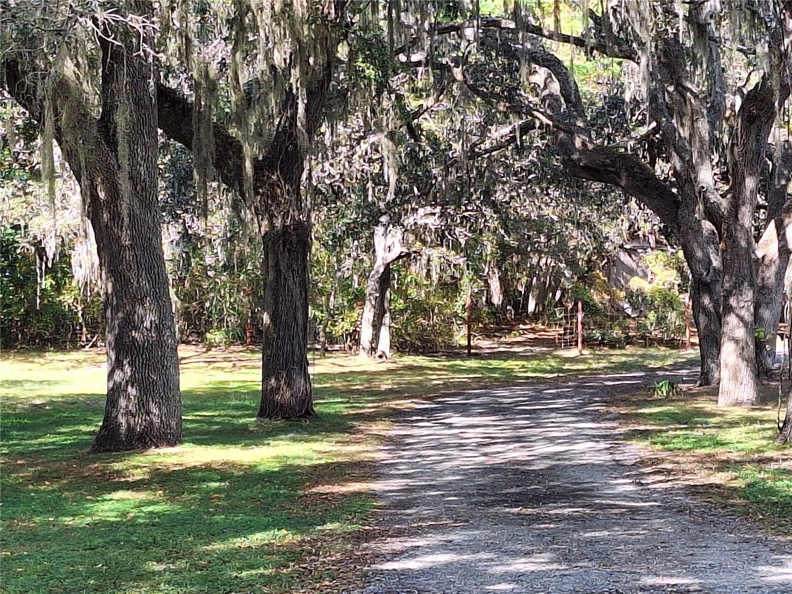 HUDSON GROVE ESTATES - Residential