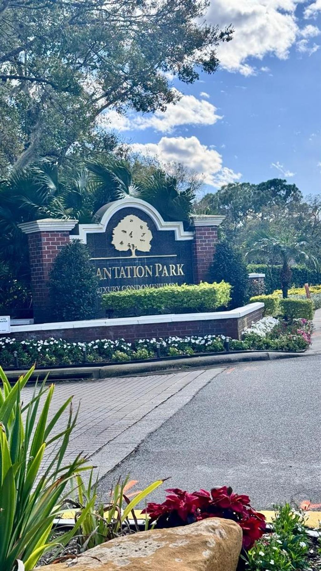 Photo of 13001 Mulberry Park Drive #132, Orlando, FL 32821 (MLS # O6401861)