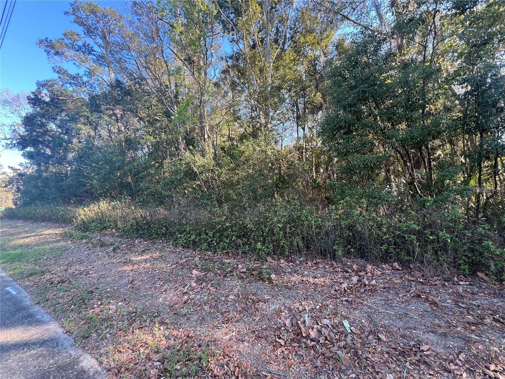 Photo of NE 14th Street, Ocala, FL 34470 (MLS # OM725038)