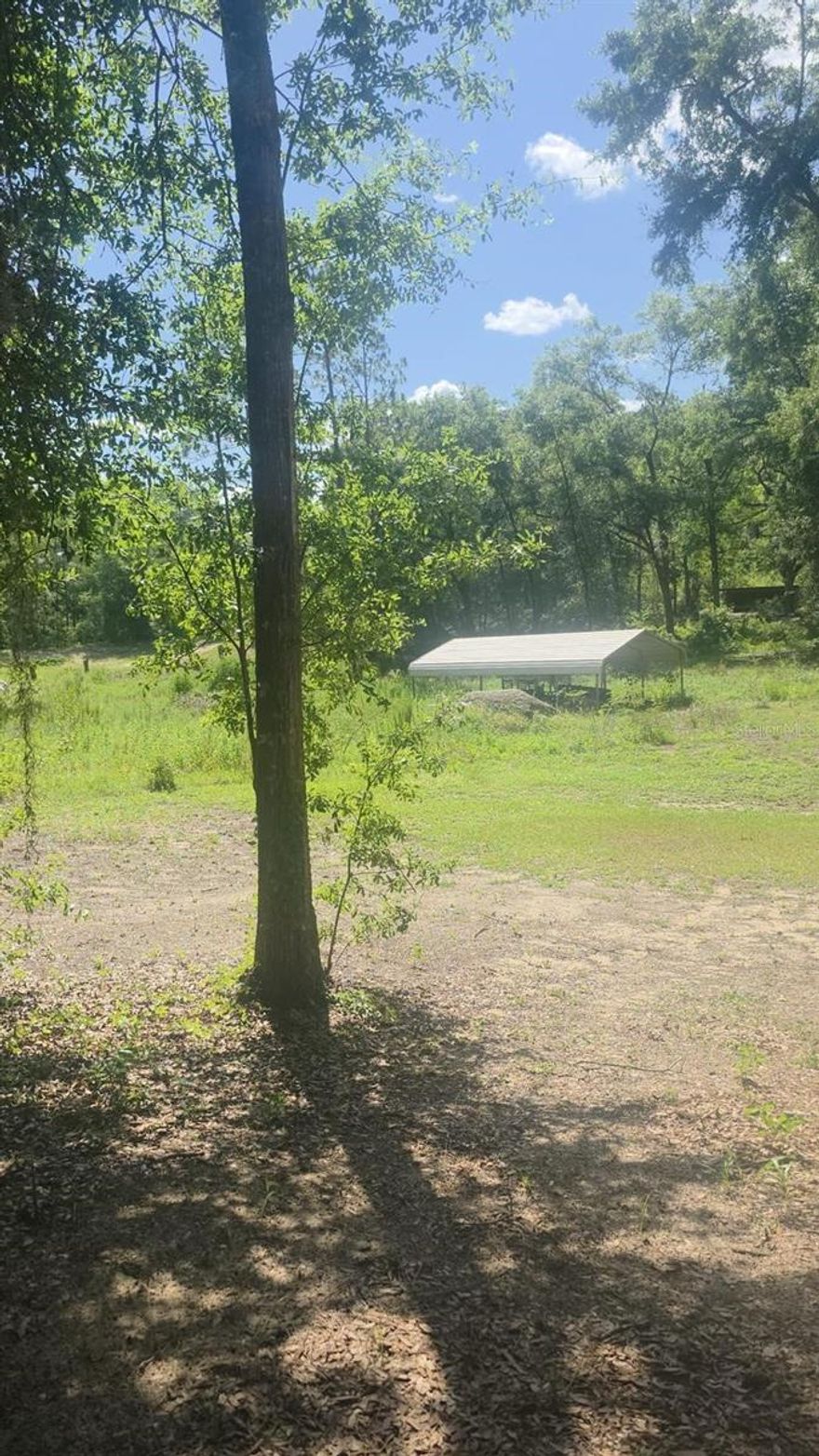 Welcome to this spacious 1.14-acre vacant residential lot nestled in the desirable Rolling Hills Unit 5 subdivision of Ocala, Florida. Located in a peaceful, up-and-coming area, this property offers a perfect opportunity to build your dream single-family home in a tranquil setting with room to grow.
Why You’ll Love It:
 • Peaceful countryside setting with no HOA
 • Room for custom home, pool, workshop, or garden
 • Easy access to SR-40, minutes to Ocala shopping, dining, and the World Equestrian Center
 • Zoned for residential use with no current structures or improvements
        •       Includes Carport