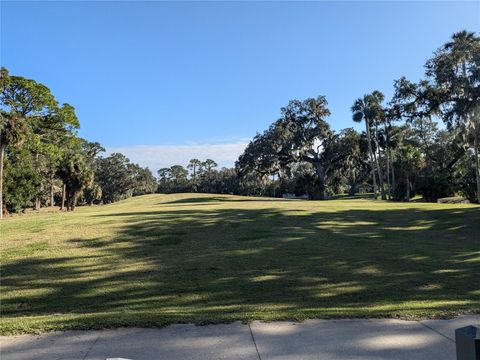 A home in PALM COAST