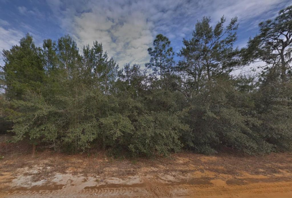Photo of Creager Avenue, Interlachen, FL 32148 (MLS # C7526192)