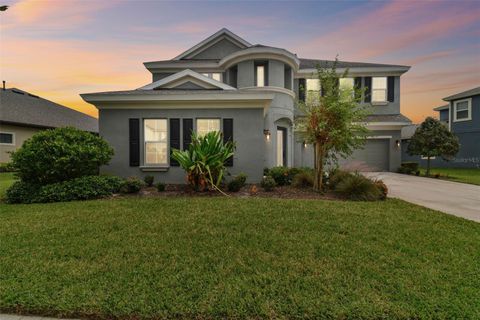 A home in APOLLO BEACH