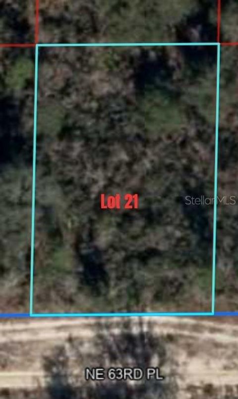 NE 63RD PLACE WILLISTON FL 32696