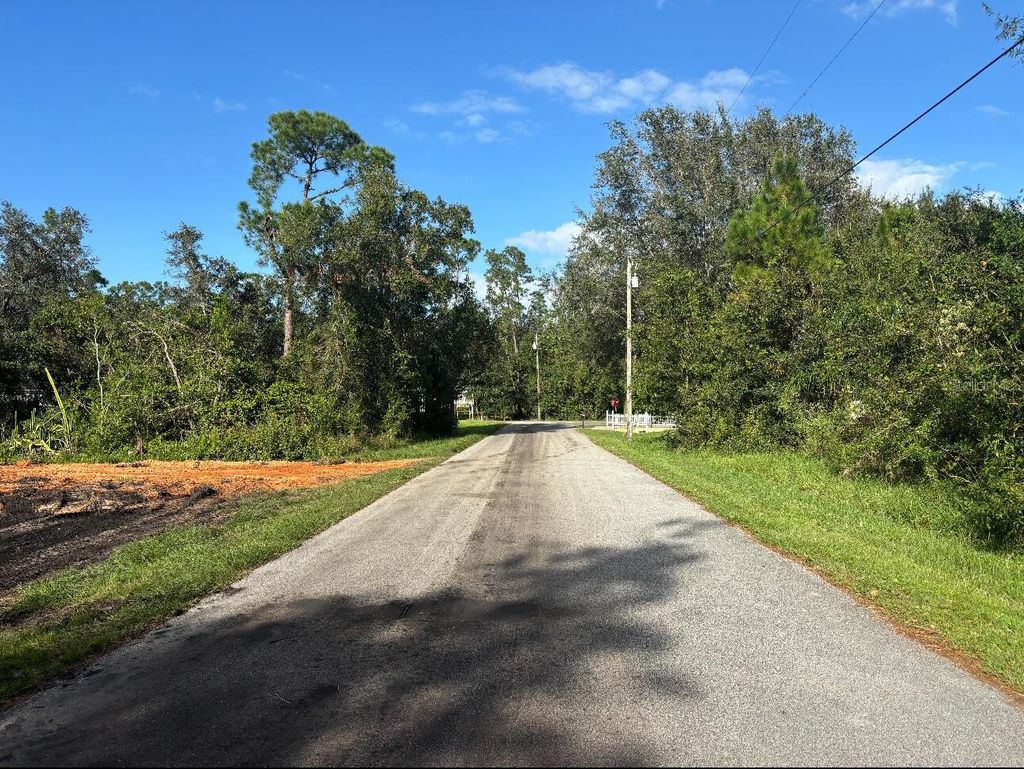 Photo of 1518 Winter Road, Lake Placid, FL 33852 (MLS # O6231972)