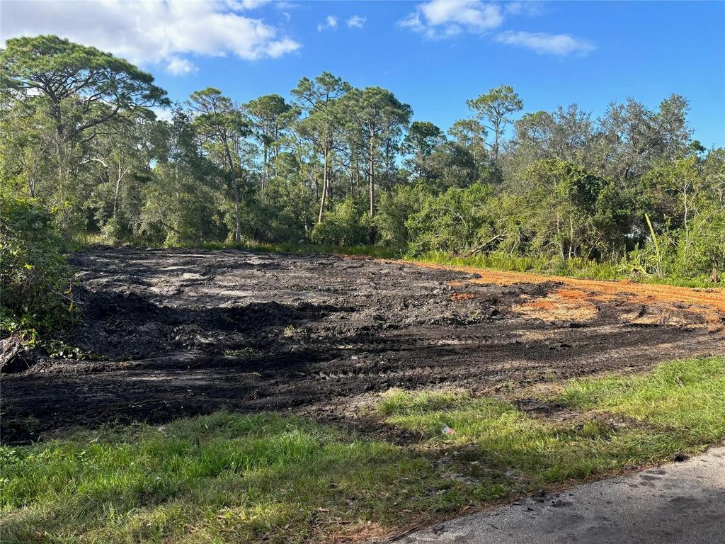 Photo of 1518 Winter Road, Lake Placid, FL 33852 (MLS # O6231972)