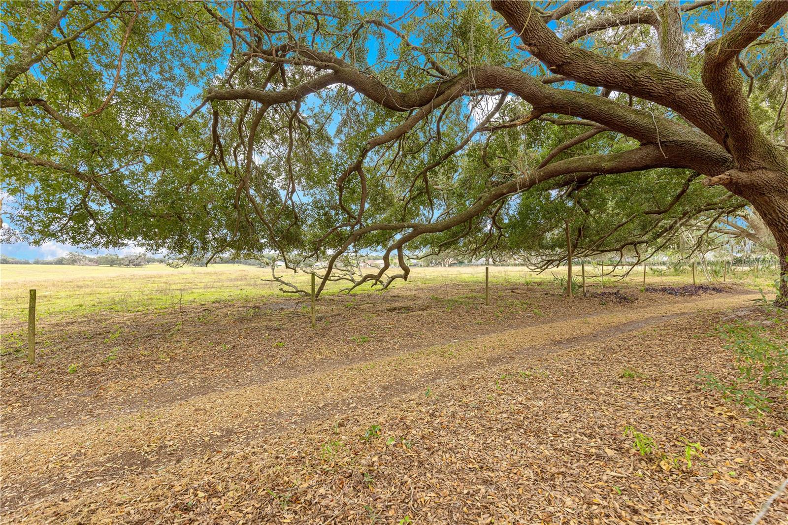 STONECREST - Residential