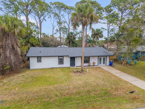 Photo of 2015 India Palm Drive, Edgewater, FL 32141 (MLS # NS1087454)