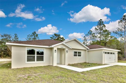 A home in CITRUS SPRINGS