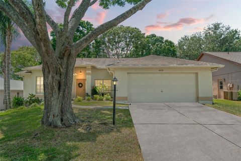 A home in SPRING HILL