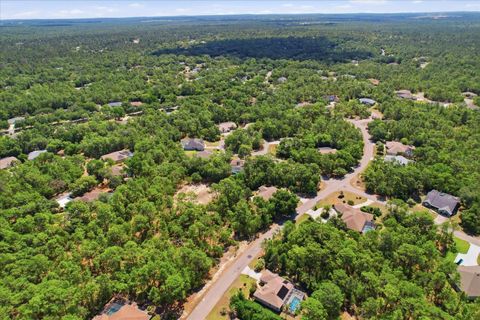 Tiny photo for 3 Portulaca Court N, Homosassa, FL 34446 (MLS # OM723876)