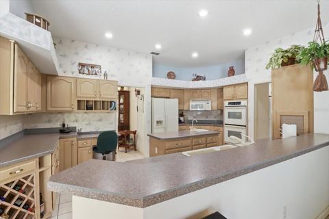 Tiny photo for 3 Portulaca Court N, Homosassa, FL 34446 (MLS # OM723876)