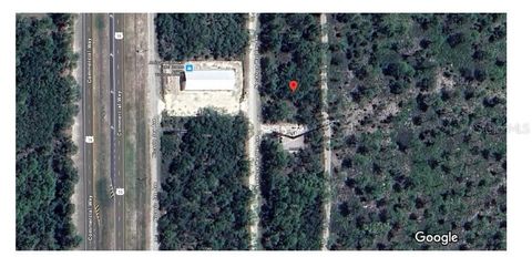 17094 NECKLACE WARBLER AVENUE BROOKSVILLE FL 34614