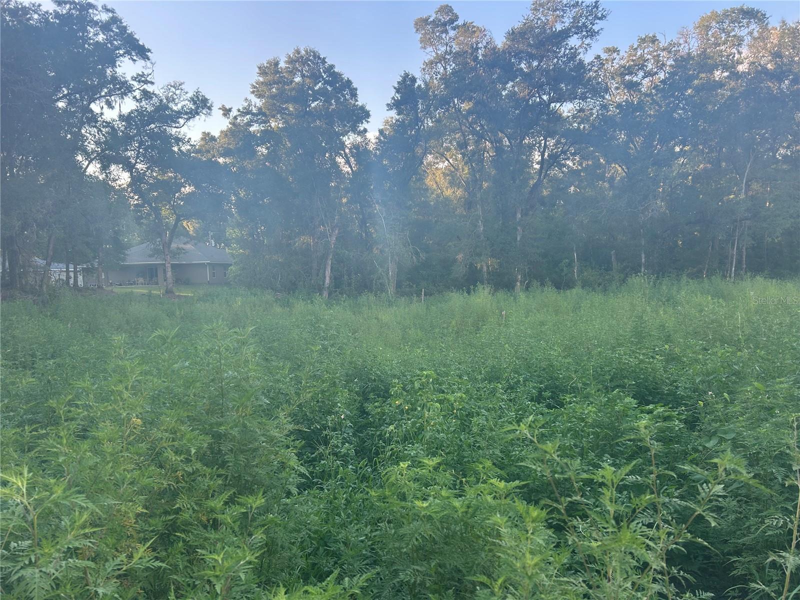 Use 3871 SE 140TH PL to find the actual property. There is a second .28 acre lot to the left of this property that can be bought as well to have .52 acres to build on. The land has already been cleared and just needs fill dirt to start building! Provide the Pre-Approval letter. Thank you.