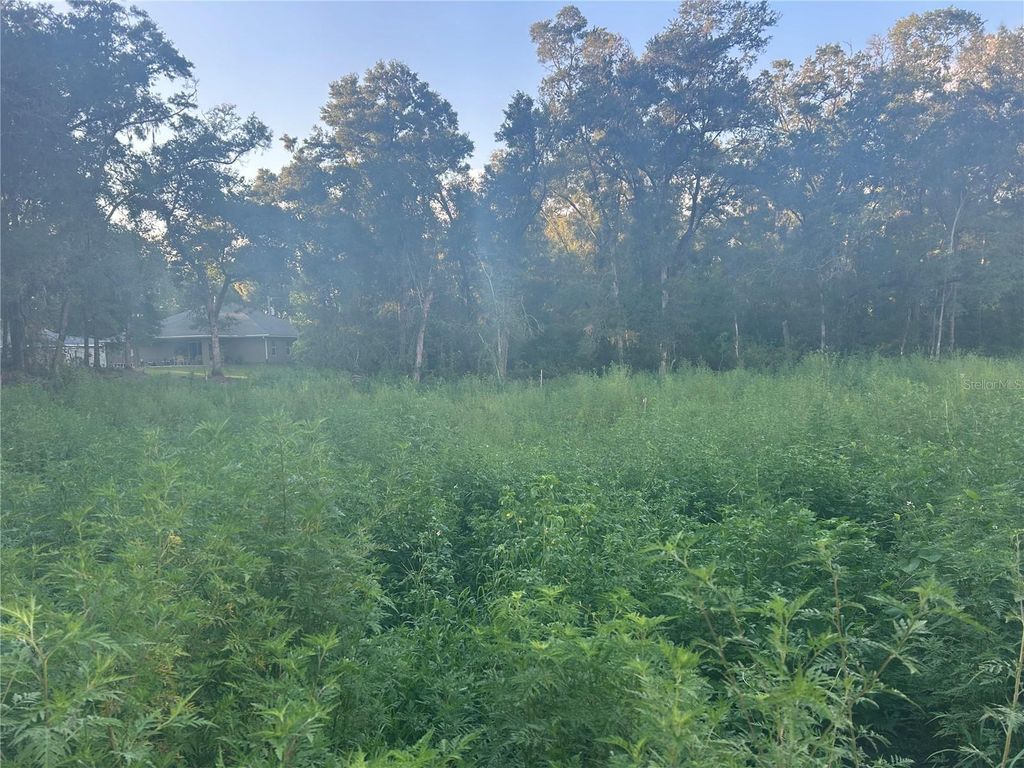 Photo of 140th Place SE, Summerfield, FL 34491 (MLS # S5133170)