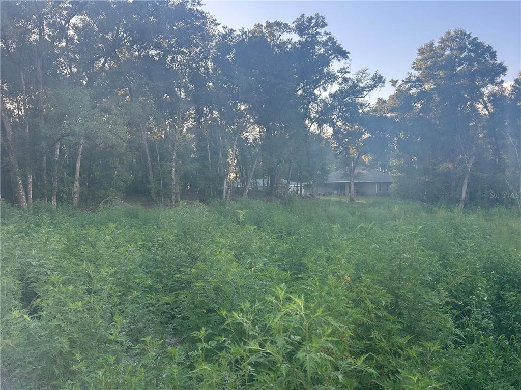 Photo of 140th Place SE, Summerfield, FL 34491 (MLS # S5133170)