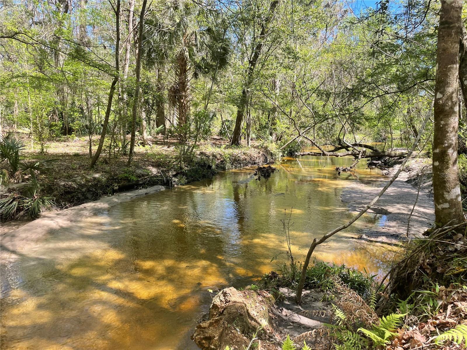 SHANDS WOODS - Residential