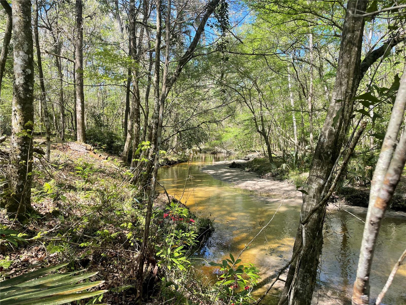 SHANDS WOODS - Residential