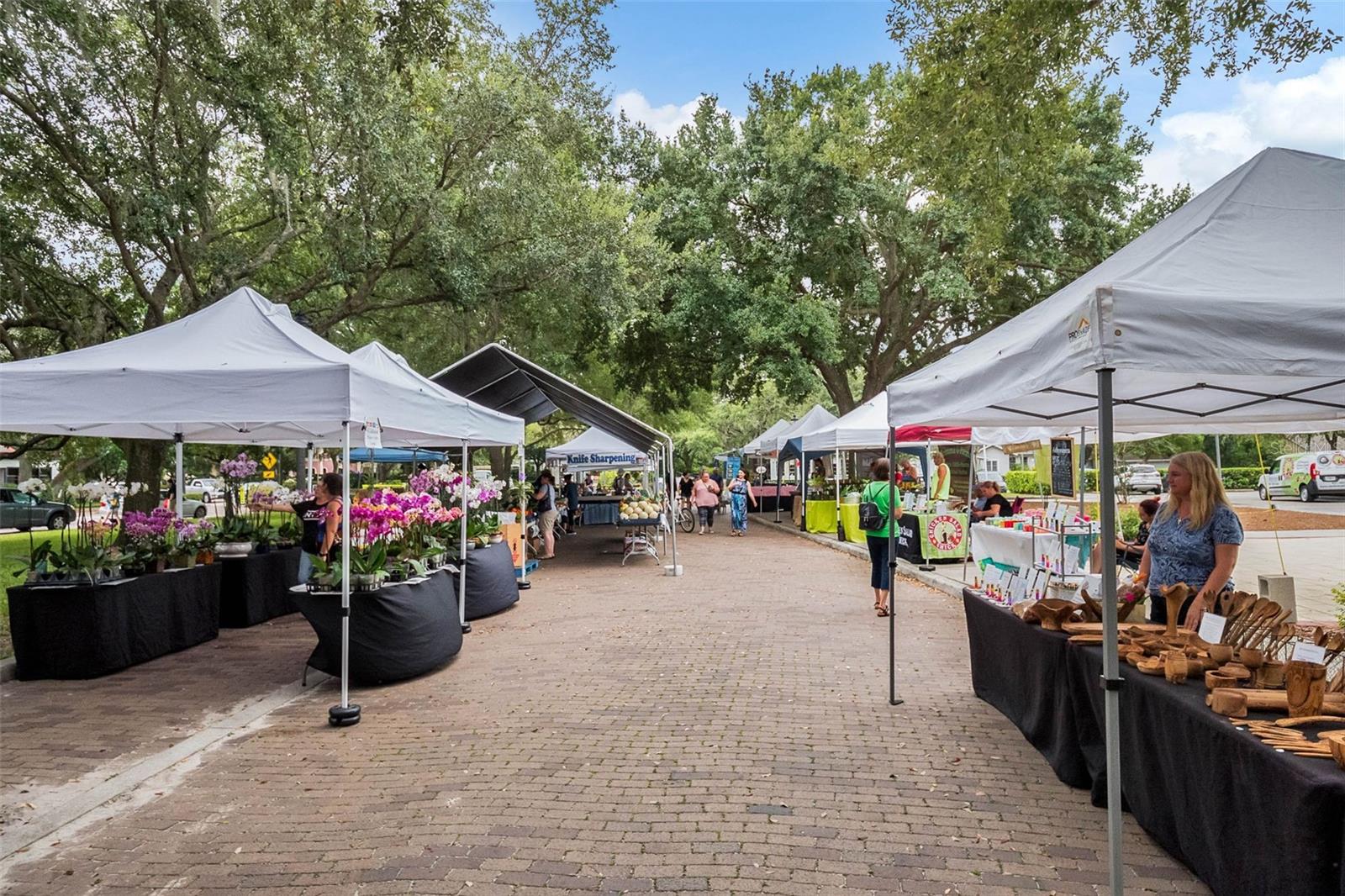 WILLOWS AT LAKE RHEA PH 02 - Residential