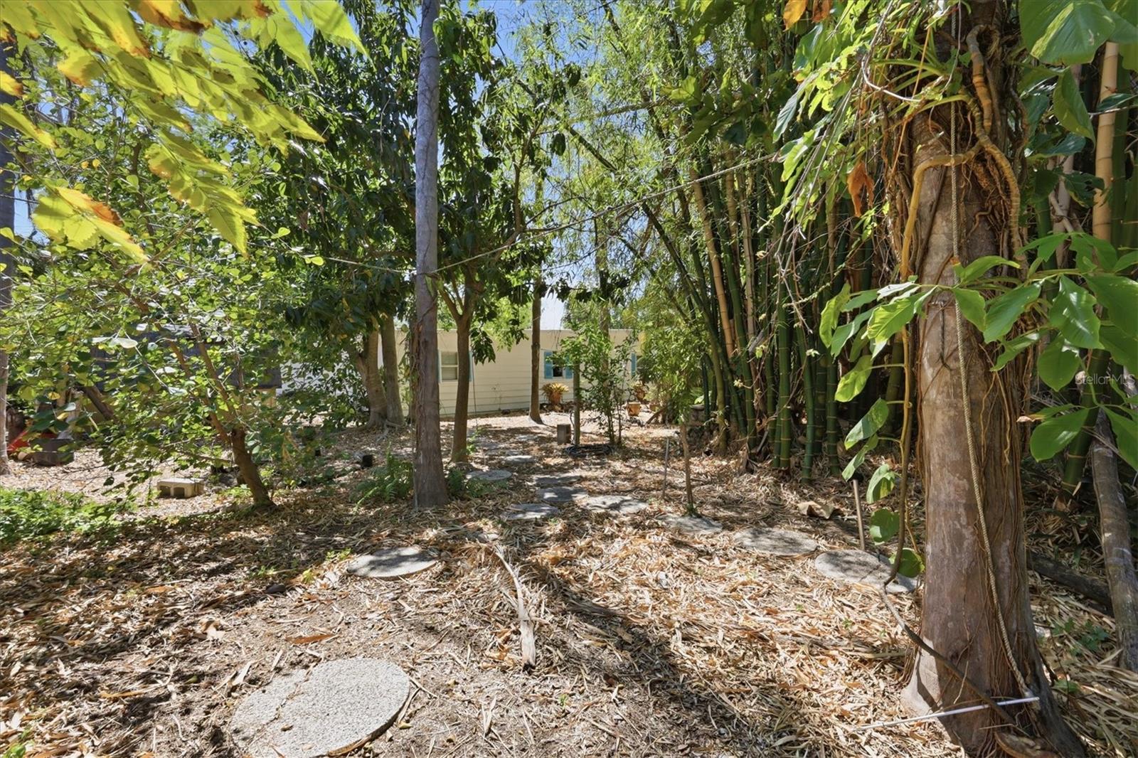FOREST HILLS - Residential
