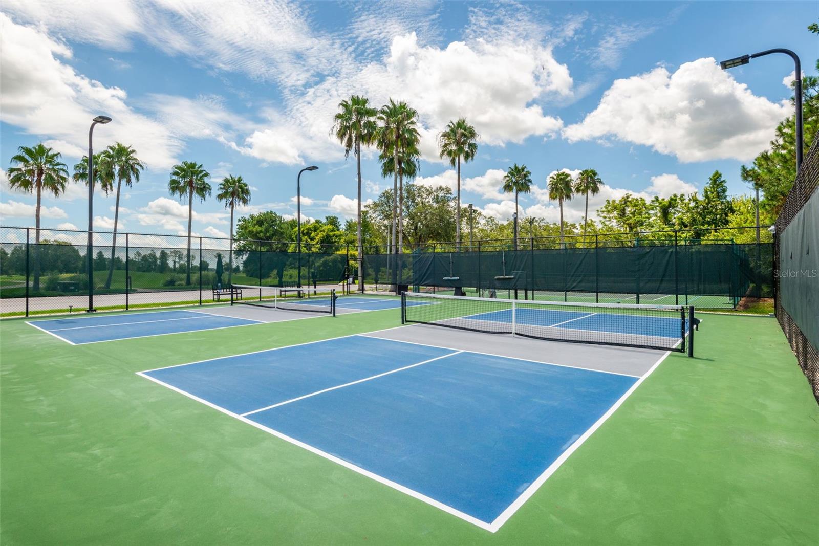 TAMPA BAY GOLF AND TENNIS CLUB - Residential