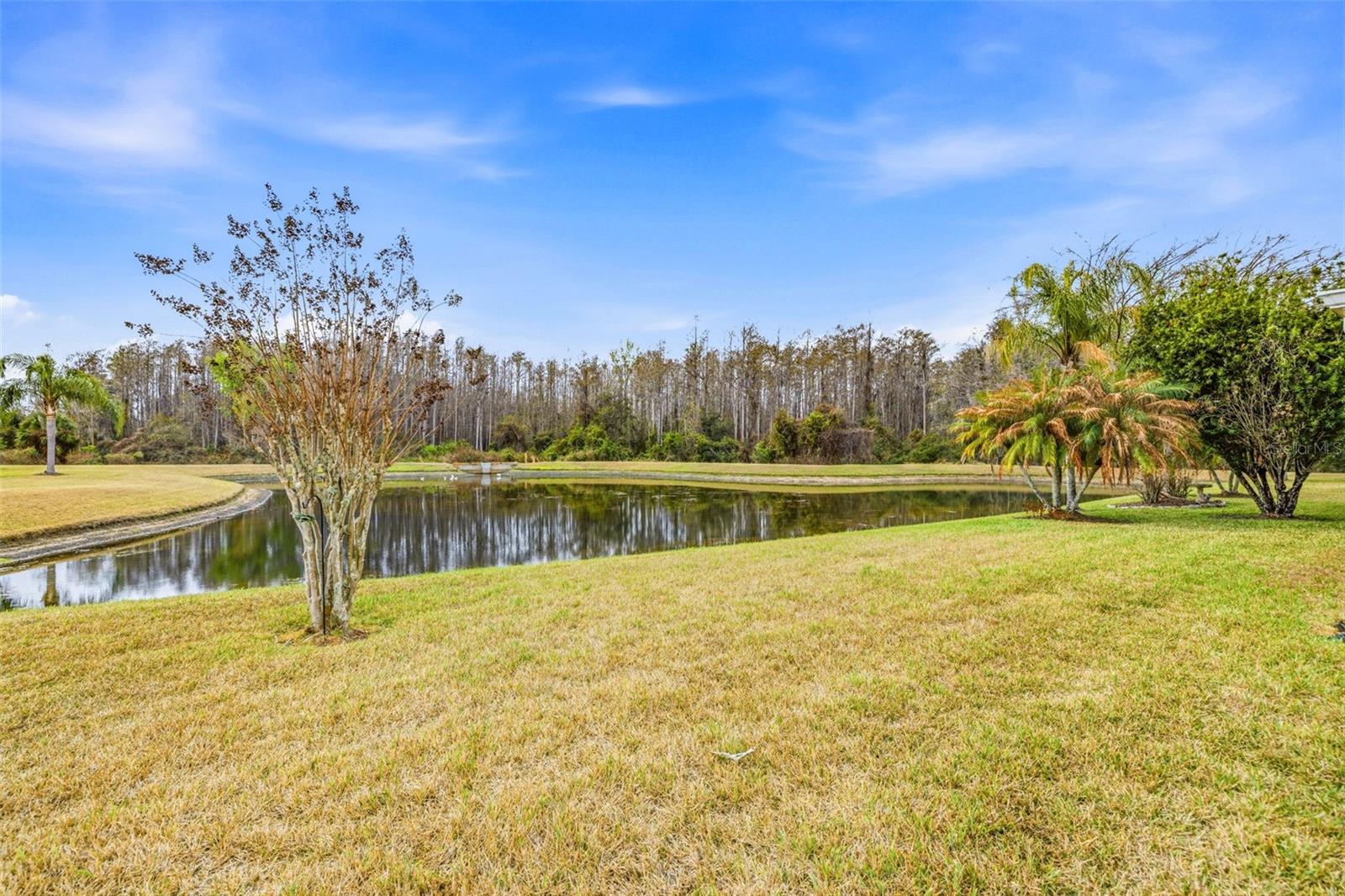 TAMPA BAY GOLF AND TENNIS CLUB - Residential