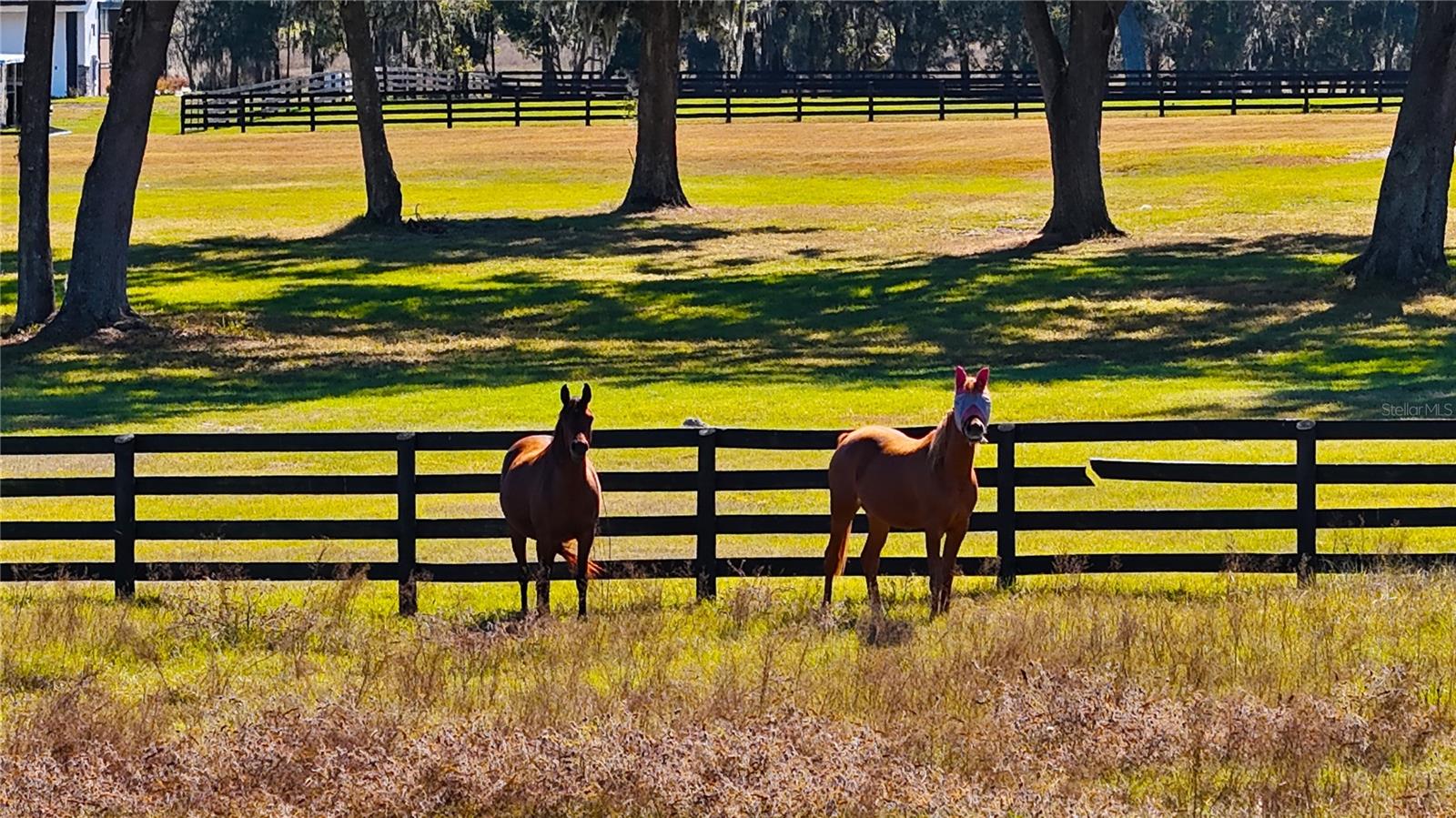 SILVERLEAF HILLS - Land