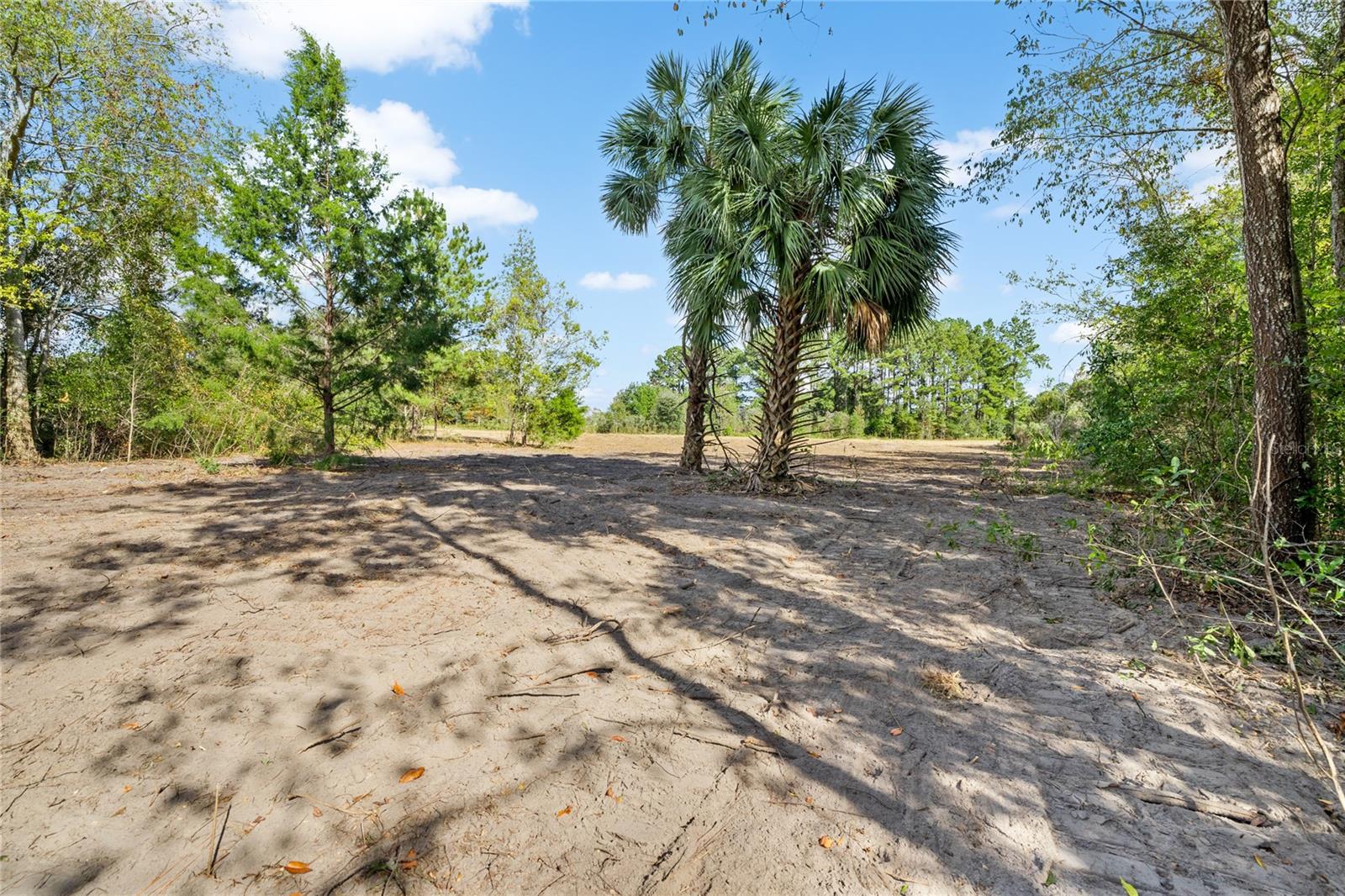TBD NW 150TH BOULEVARD