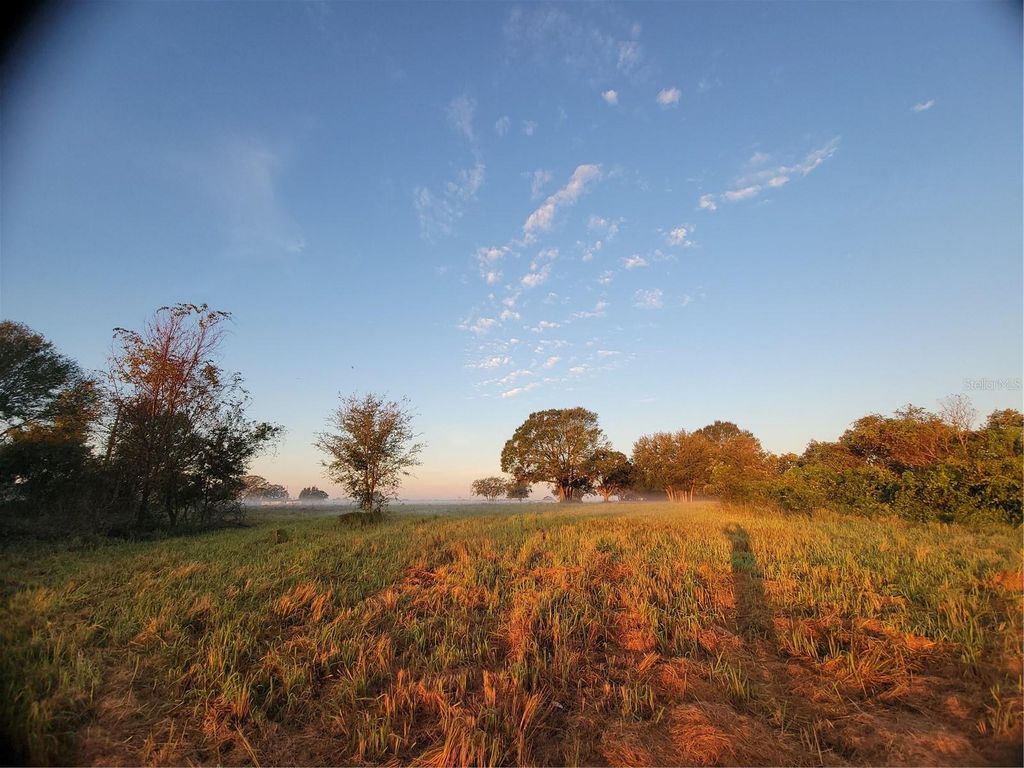 Photo of 960 Albritton Way, Lake Wales, FL 33859 (MLS # P4923689)