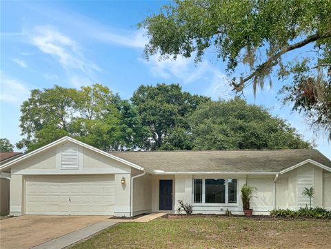 A home in RIVERVIEW