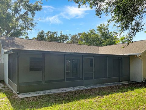 A home in RIVERVIEW