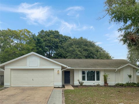 A home in RIVERVIEW