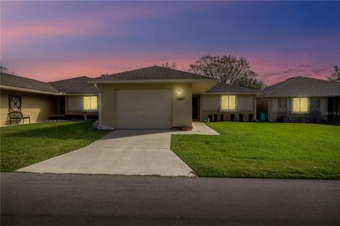 A home in BELLEVIEW