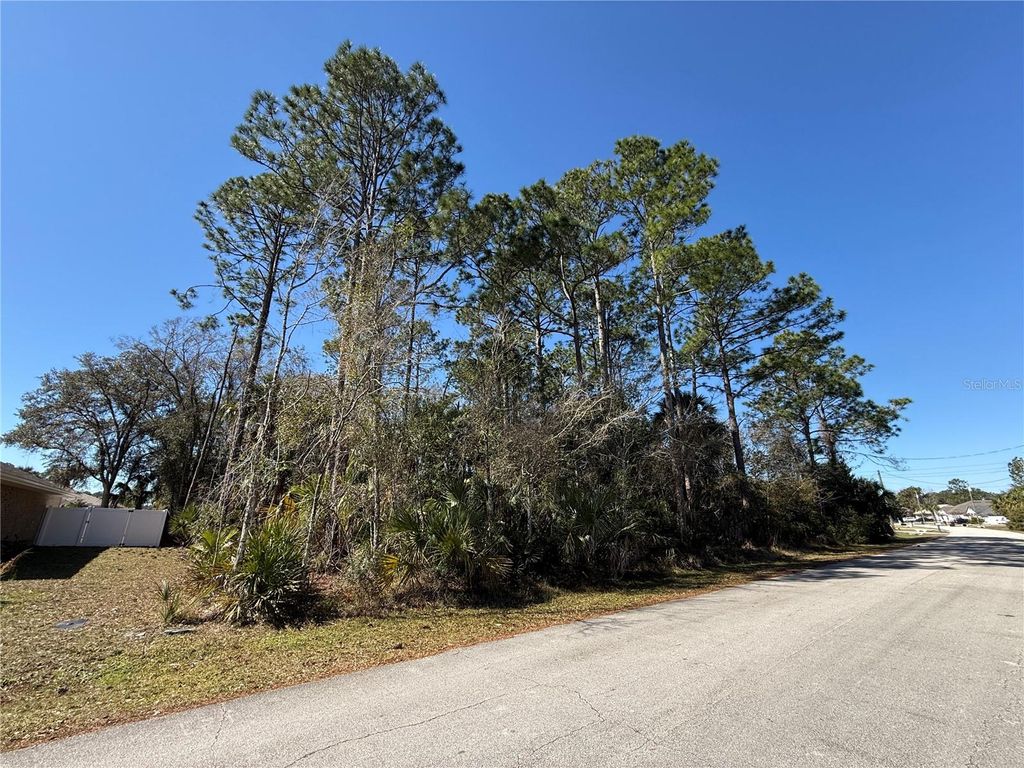 Photo of 28 Phoenix Lane, Palm Coast, FL 32164 (MLS # FC316417)