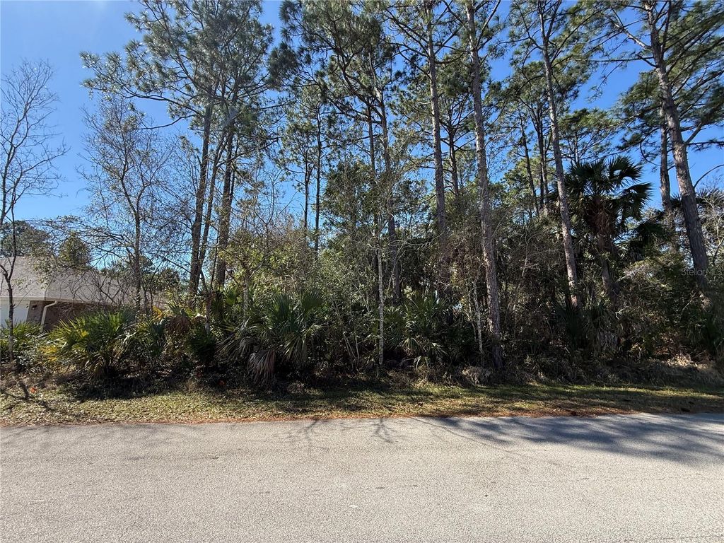 Photo of 28 Phoenix Lane, Palm Coast, FL 32164 (MLS # FC316417)