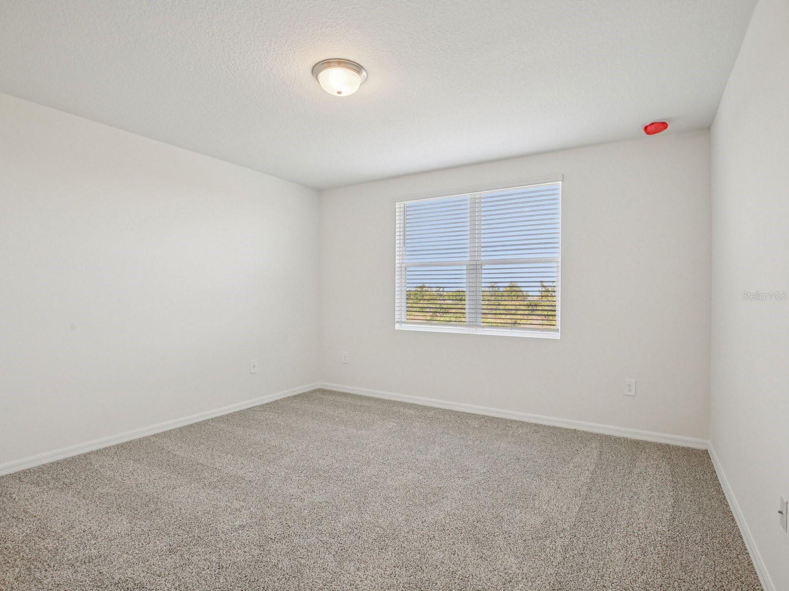 THE RESERVE AT HAMMOCK OAKS - Residential