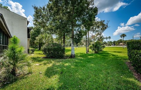 A home in PALM HARBOR