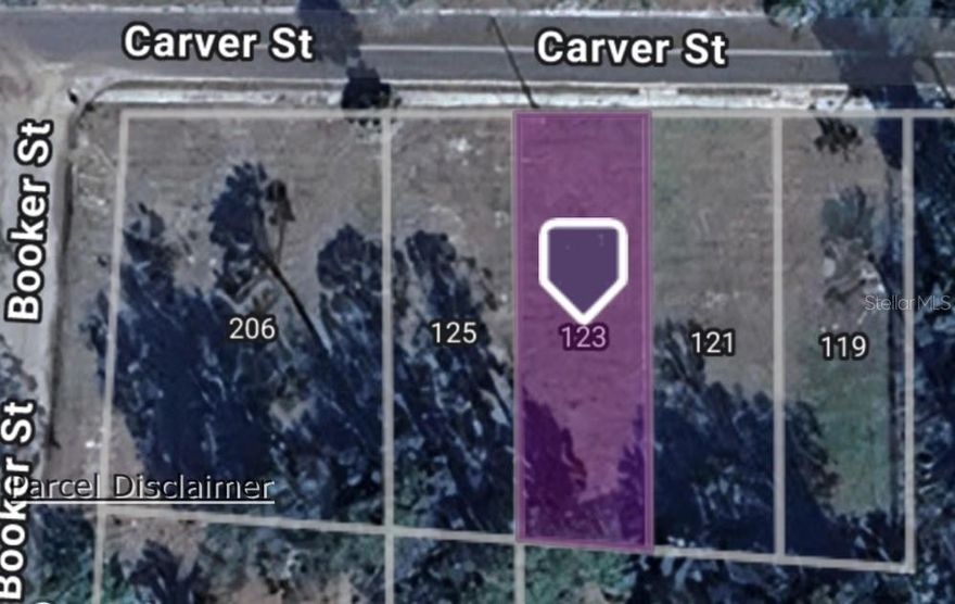 Excellent opportunity to own a residential lot in a convenient Palatka location. This parcel sits on a quiet street and is just minutes from shopping, schools, medical facilities, and major roadways. Perfect for a future homesite or an investment property. This lot is being sold as a package deal with additional parcels located at 119 Carver (OM714021), 121 Carver (OM714024), 125 Carver (OM714022), and 206 Booker (OM714021)—offering a great opportunity for investors or builders looking for multiple adjoining or nearby properties. No HOA and no required build timeframe.