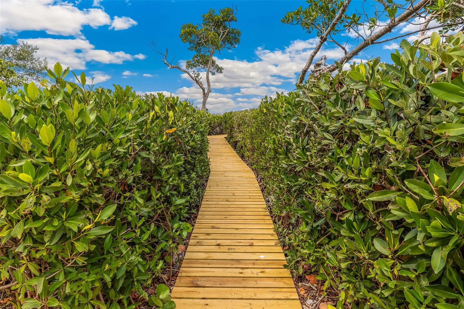 BOCA GRANDE ISLES - Residential