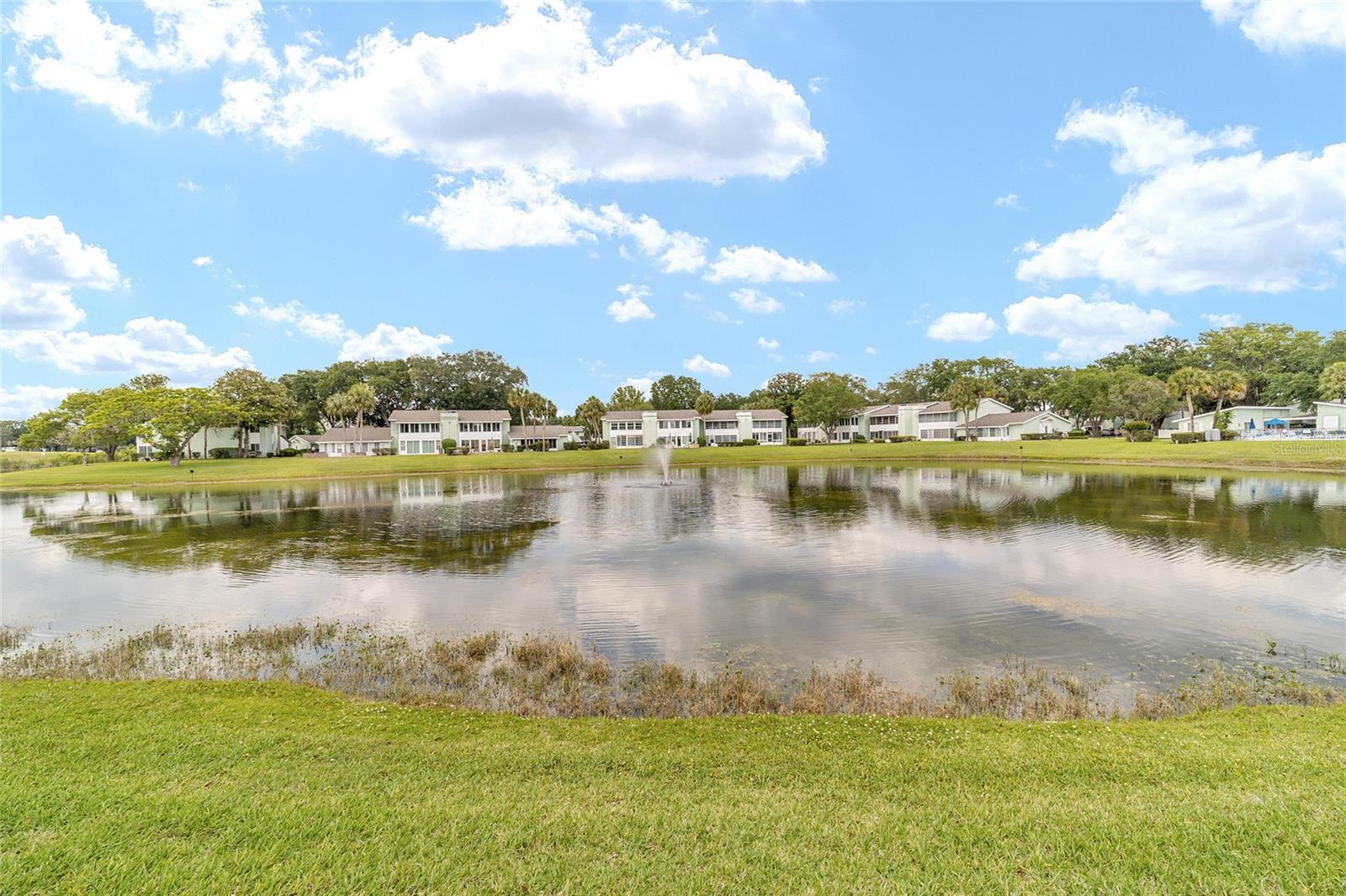 LIVE OAK VILLAGE CONDOMINIUM - Residential