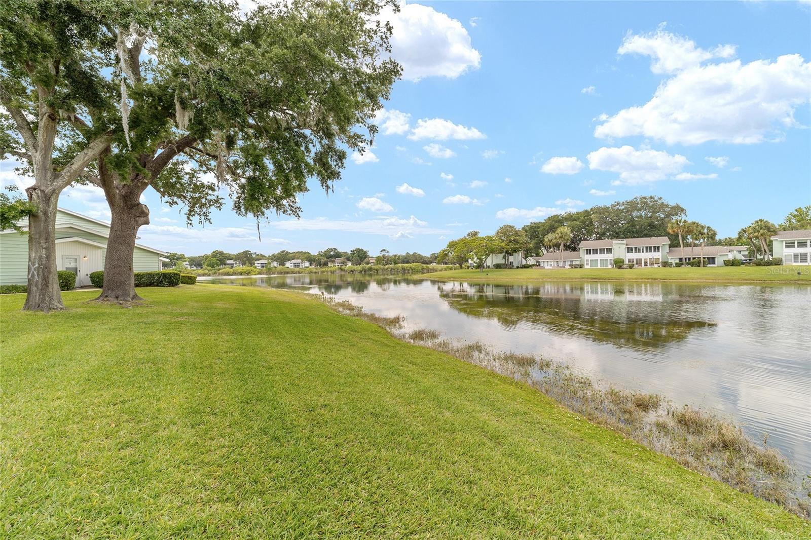 LIVE OAK VILLAGE CONDOMINIUM - Residential
