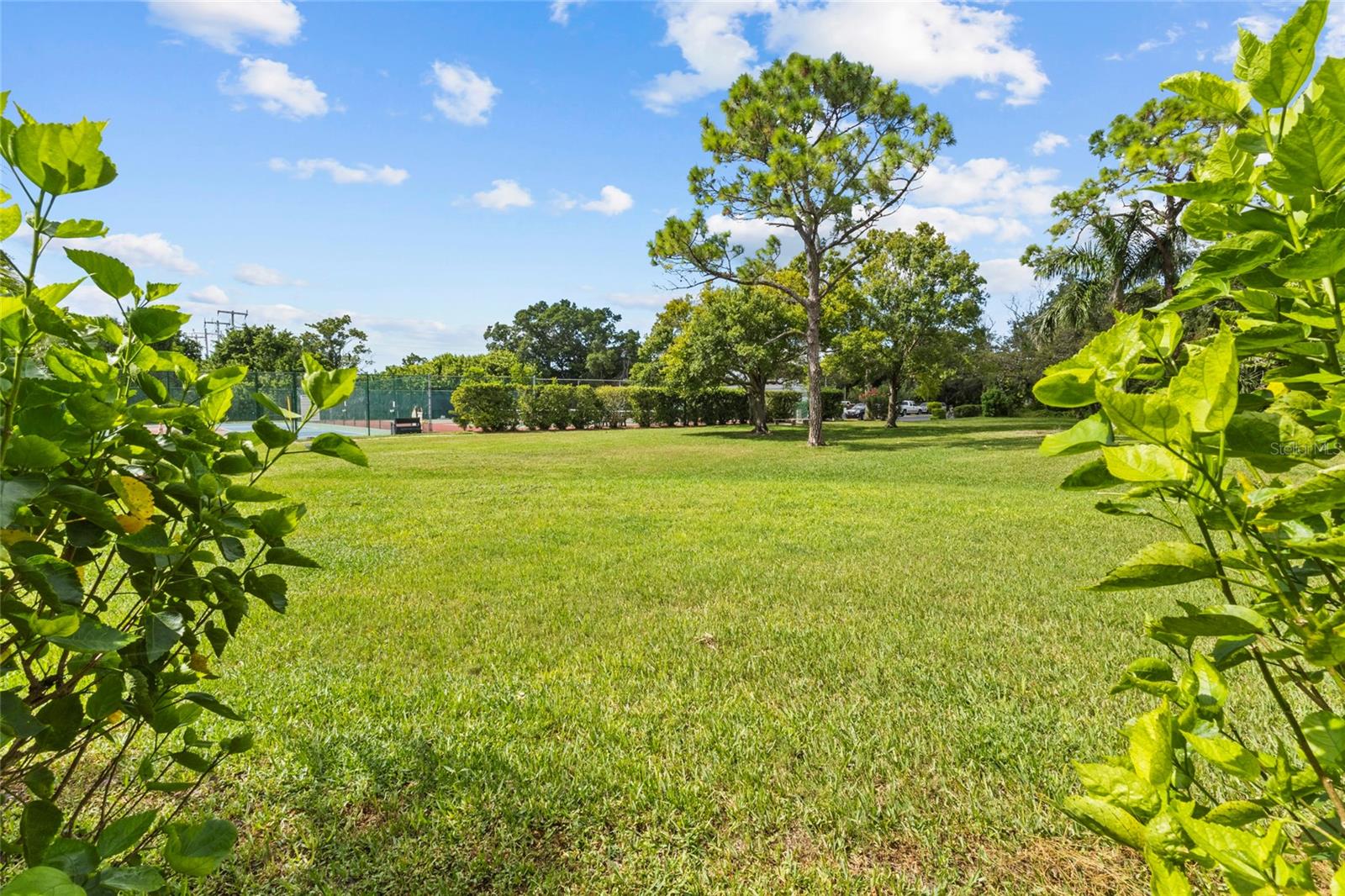 WILDEWOOD SPGS STAGE 4A OF PALM TREE - Residential