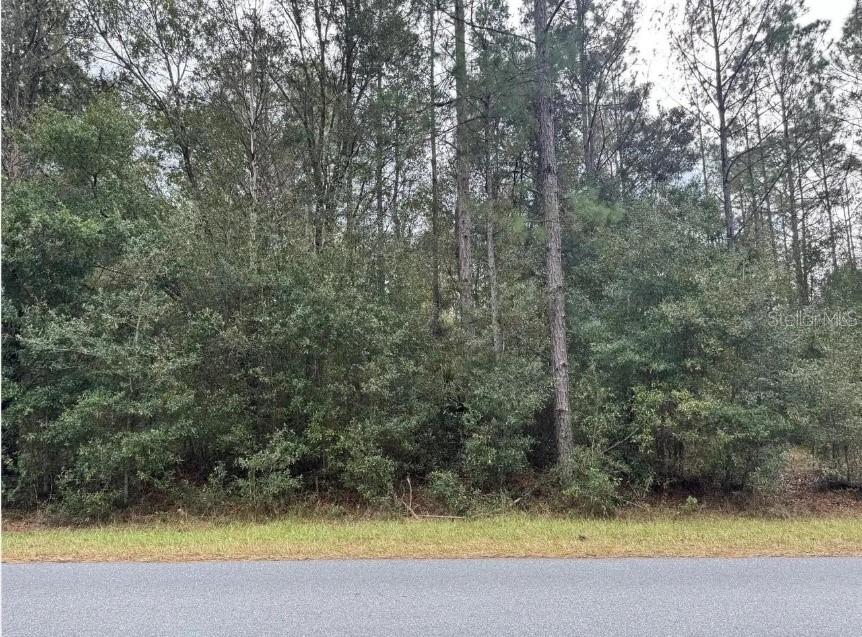 Photo of 00 SW 36 Avenue, Ocala, FL 34473 (MLS # OM734323)