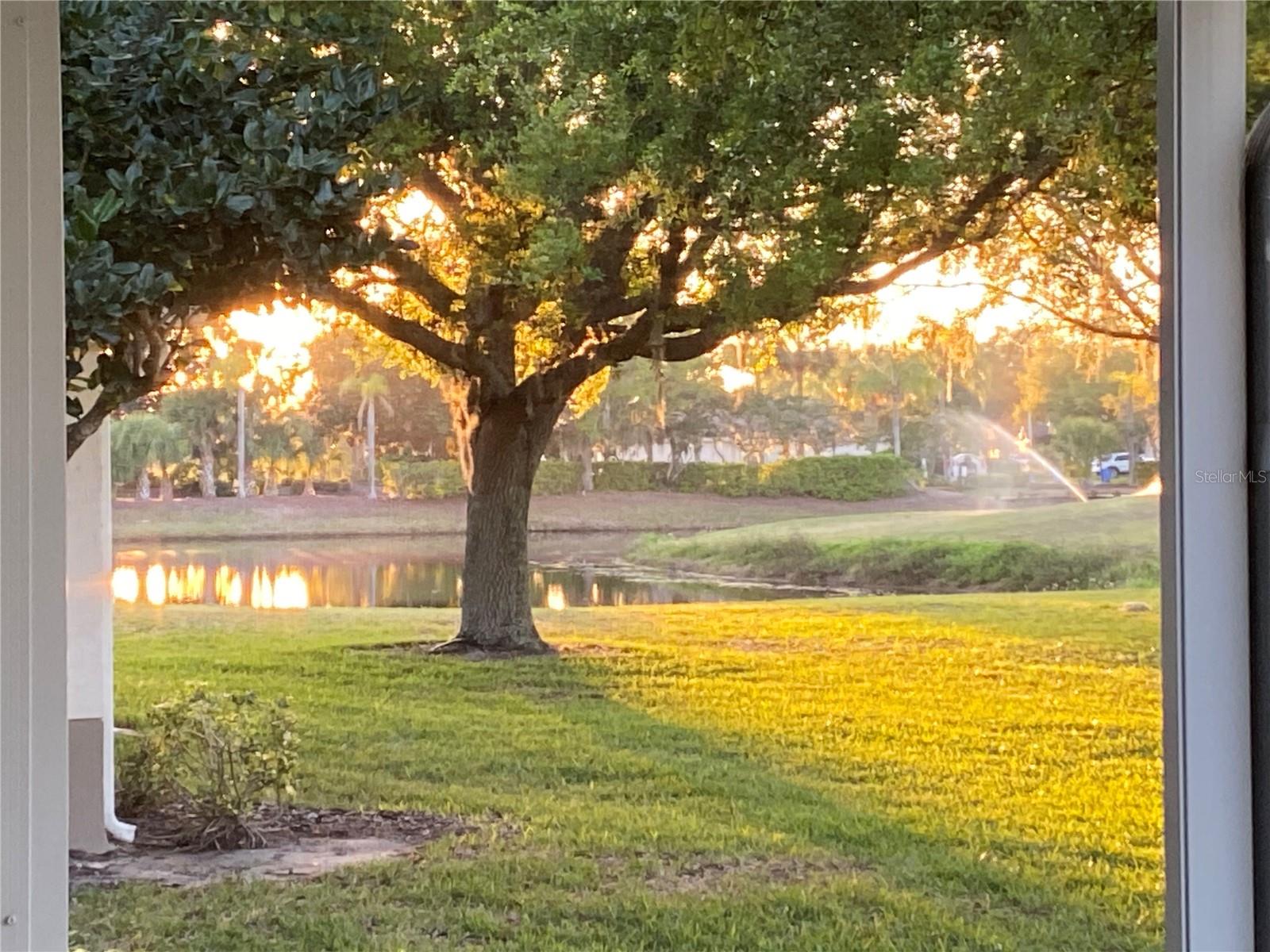 DEVONSHIRE CONDO - Residential