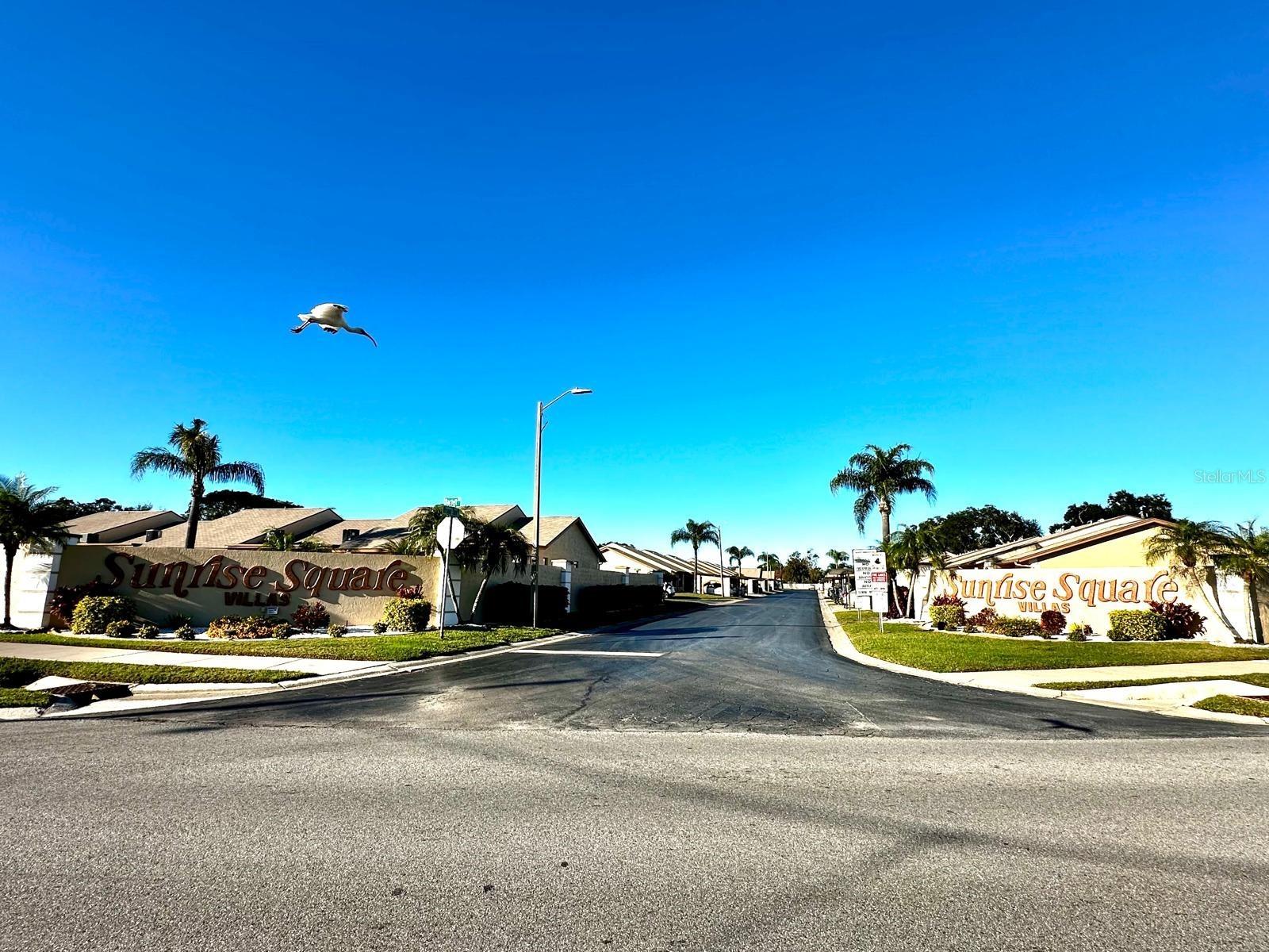 SUNRISE SQUARE VILLAS - Residential